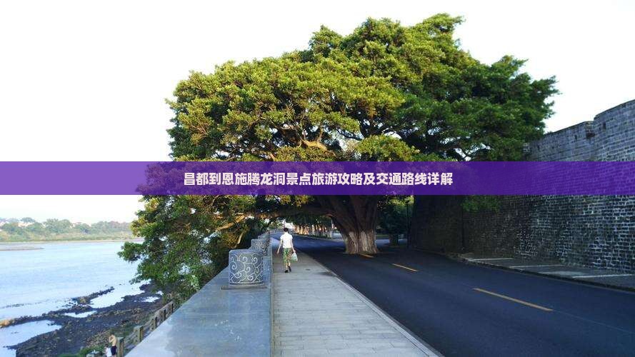 昌都到恩施腾龙洞景点旅游攻略及交通路线详解