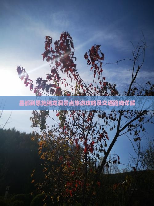 昌都到恩施腾龙洞景点旅游攻略及交通路线详解
