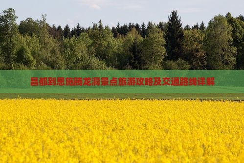 昌都到恩施腾龙洞景点旅游攻略及交通路线详解