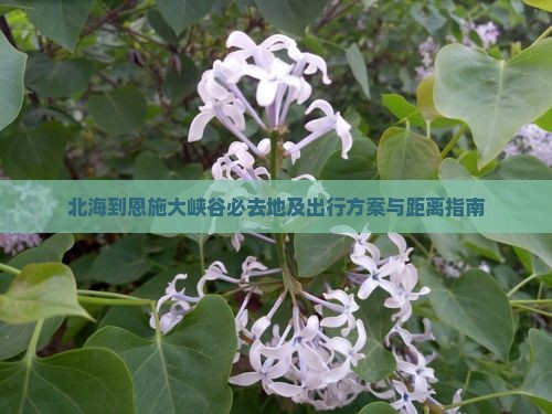 北海到恩施大峡谷必去地及出行方案与距离指南 北海到恩施大峡谷必去地及出行方案与距离指南
