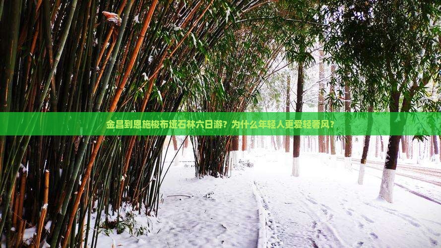 金昌到恩施梭布垭石林六日游?为什么年轻人更爱轻奢风? 金昌到恩施梭布垭石林六日游?为什么年轻人更爱轻奢风?