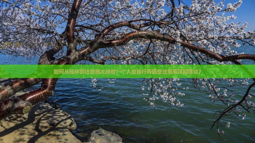 如何从桂林前往恩施大峡谷？个人自由行有哪些注意事项和建议？