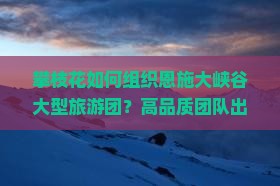 攀枝花如何组织恩施大峡谷大型旅游团？高品质团队出行痛点与热门新词攻略！