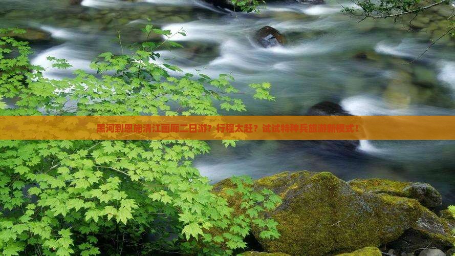 黑河到恩施清江画廊二日游？行程太赶？试试特种兵旅游新模式！