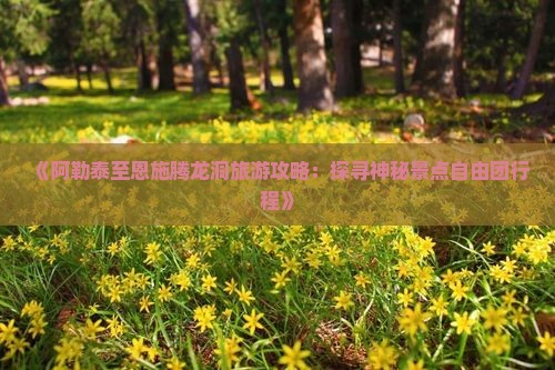 《阿勒泰至恩施腾龙洞旅游攻略：探寻神秘景点自由团行程》