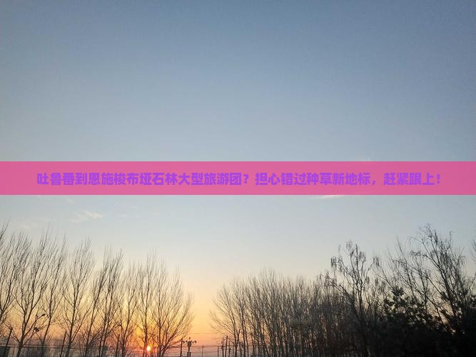 吐鲁番到恩施梭布垭石林大型旅游团？担心错过种草新地标，赶紧跟上！