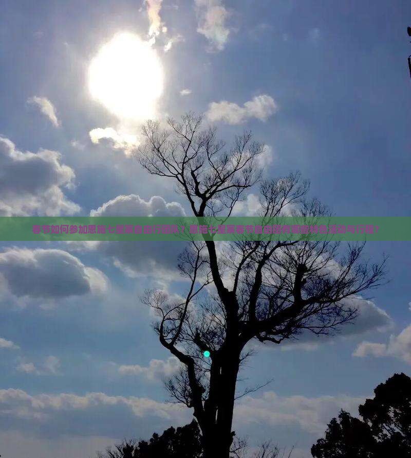春节如何参加恩施七星寨自由行团队？恩施七星寨春节自由团有哪些特色活动与行程？