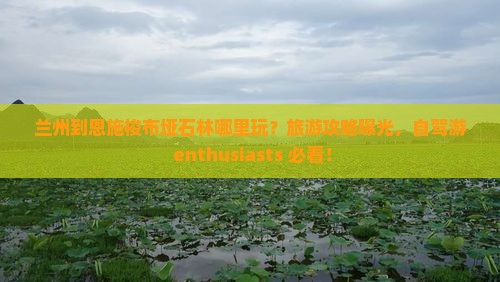 兰州到恩施梭布垭石林哪里玩？旅游攻略曝光，自驾游 enthusiasts 必看！