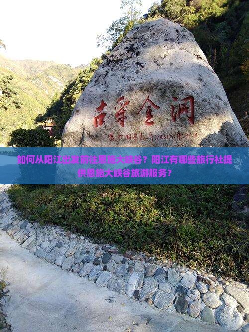 如何从阳江出发前往恩施大峡谷？阳江有哪些旅行社提供恩施大峡谷旅游服务？