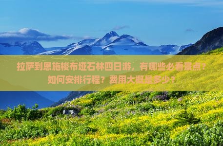 拉萨到恩施梭布垭石林四日游，有哪些必看景点？如何安排行程？费用大概是多少？