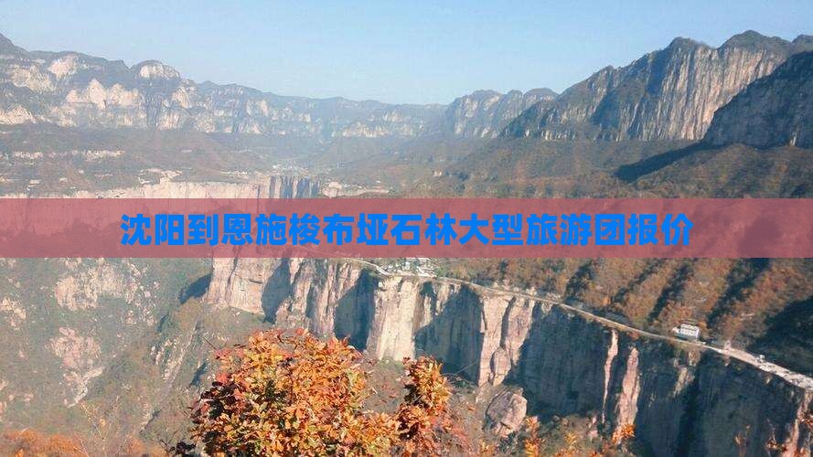 沈阳到恩施梭布垭石林大型旅游团报价