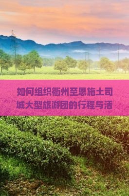 如何组织衢州至恩施土司城大型旅游团的行程与活动？