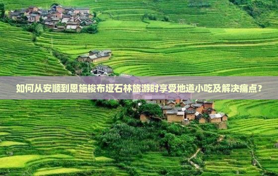 如何从安顺到恩施梭布垭石林旅游时享受地道小吃及解决痛点？
