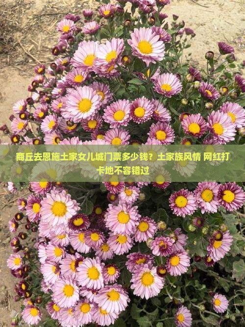 商丘去恩施土家女儿城门票多少钱？土家族风情+网红打卡地不容错过