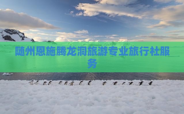 随州恩施腾龙洞旅游专业旅行社服务