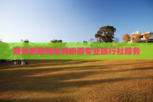 随州恩施腾龙洞旅游专业旅行社服务