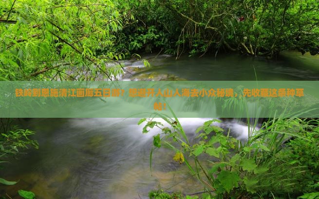 铁岭到恩施清江画廊五日游？想避开人山人海去小众秘境，先收藏这条种草帖！