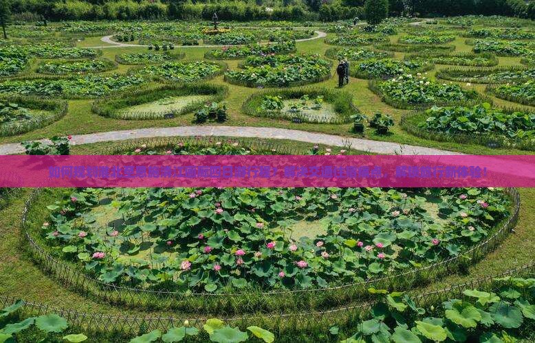 如何规划淮北至恩施清江画廊四日游行程？解决交通住宿痛点，解锁旅行新体验！