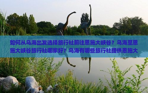 如何从乌海出发选择旅行社前往恩施大峡谷？乌海至恩施大峡谷旅行社哪家好？乌海有哪些旅行社提供恩施大峡谷旅游服务？