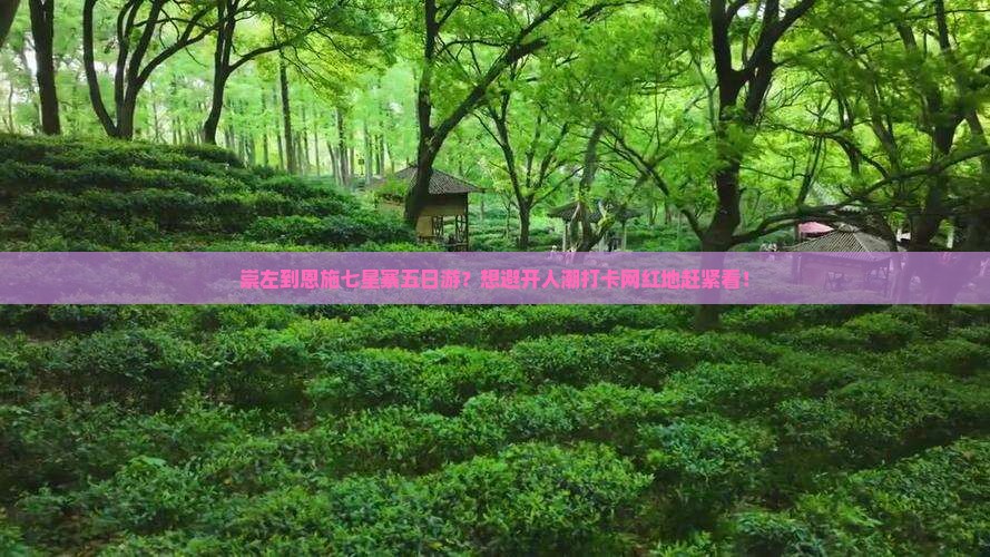 崇左到恩施七星寨五日游？想避开人潮打卡网红地赶紧看！