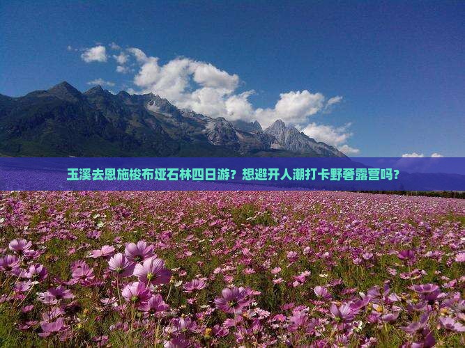 玉溪去恩施梭布垭石林四日游？想避开人潮打卡野奢露营吗？
