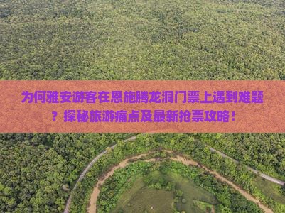 为何雅安游客在恩施腾龙洞门票上遇到难题？探秘旅游痛点及最新抢票攻略！