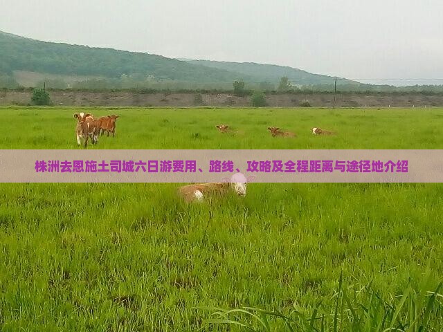 株洲去恩施土司城六日游费用、路线、攻略及全程距离与途径地介绍