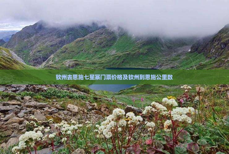 钦州去恩施七星寨门票价格及钦州到恩施公里数