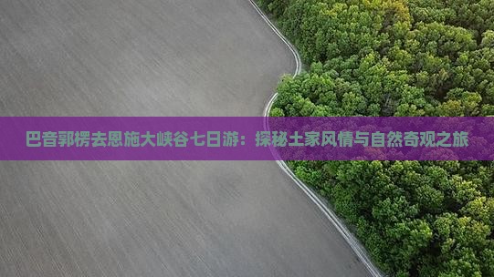 巴音郭楞去恩施大峡谷七日游：探秘土家风情与自然奇观之旅