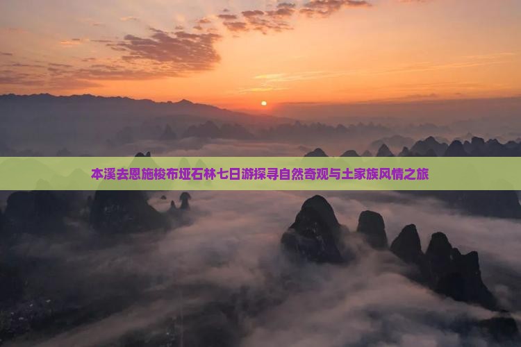 本溪去恩施梭布垭石林七日游探寻自然奇观与土家族风情之旅