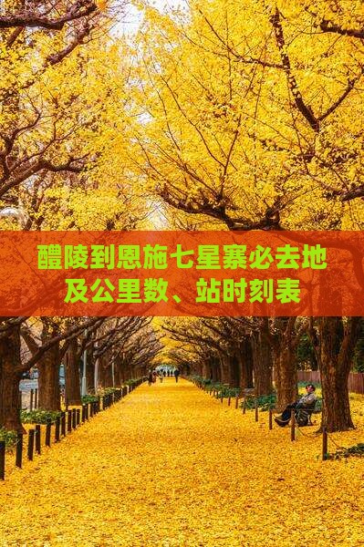 醴陵到恩施七星寨必去地及公里数、站时刻表