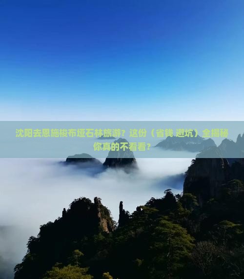 沈阳去恩施梭布垭石林旅游小吃