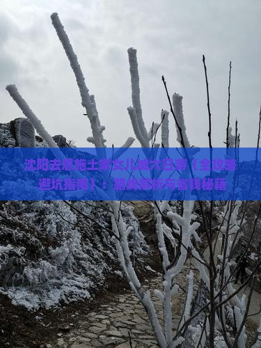 沈阳去恩施土家女儿城六日游