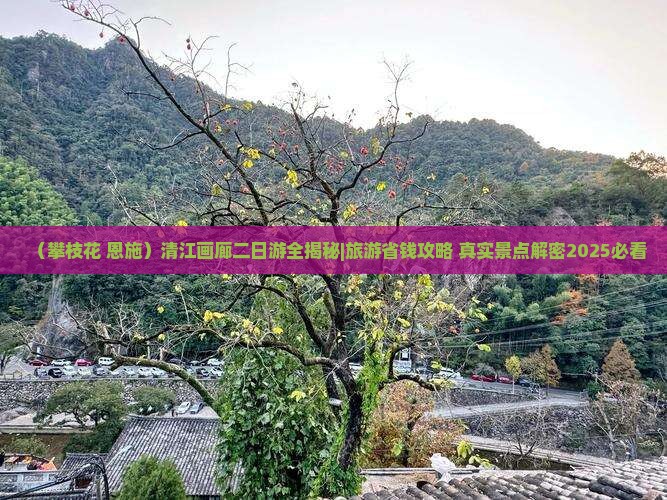 攀枝花到恩施清江画廊二日游 攀枝花到恩施清江画廊二日游