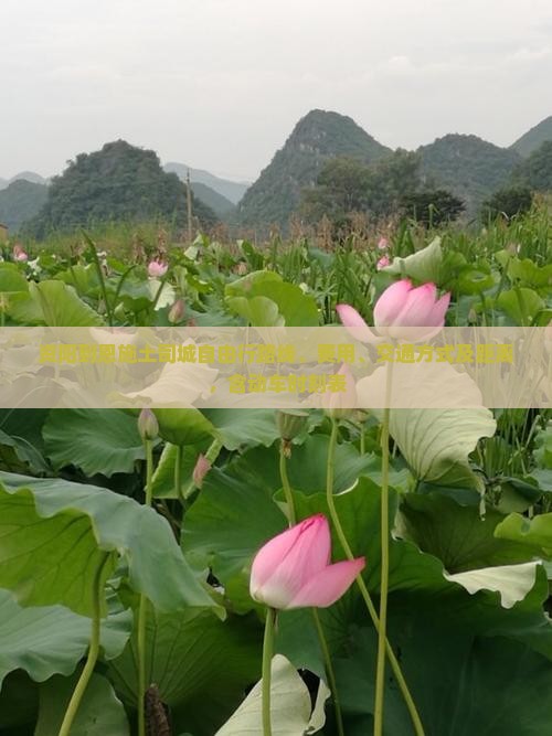资阳到恩施土司城自由行
