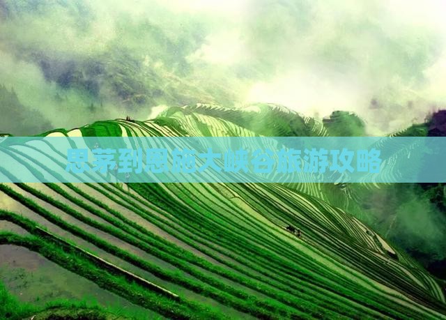思茅去恩施大峡谷攻略