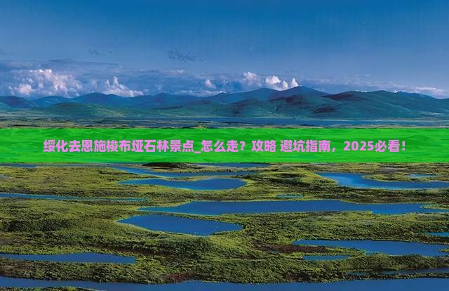 绥化去恩施梭布垭石林景点