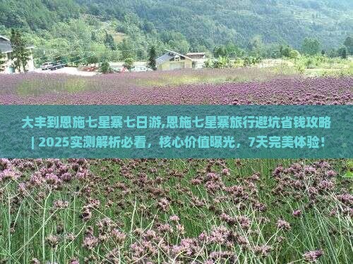 大丰到恩施七星寨七日游