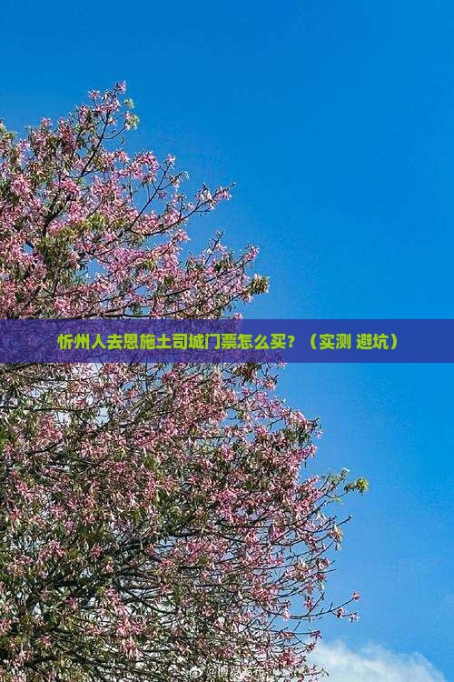 忻州去恩施土司城门票