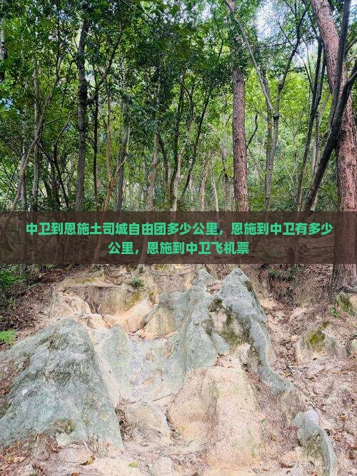 中卫到恩施土司城自由团