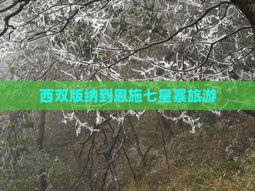 西双版纳到恩施七星寨旅游