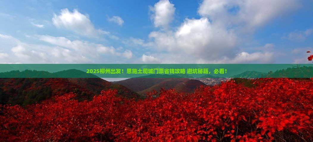 柳州到恩施土司城门票
