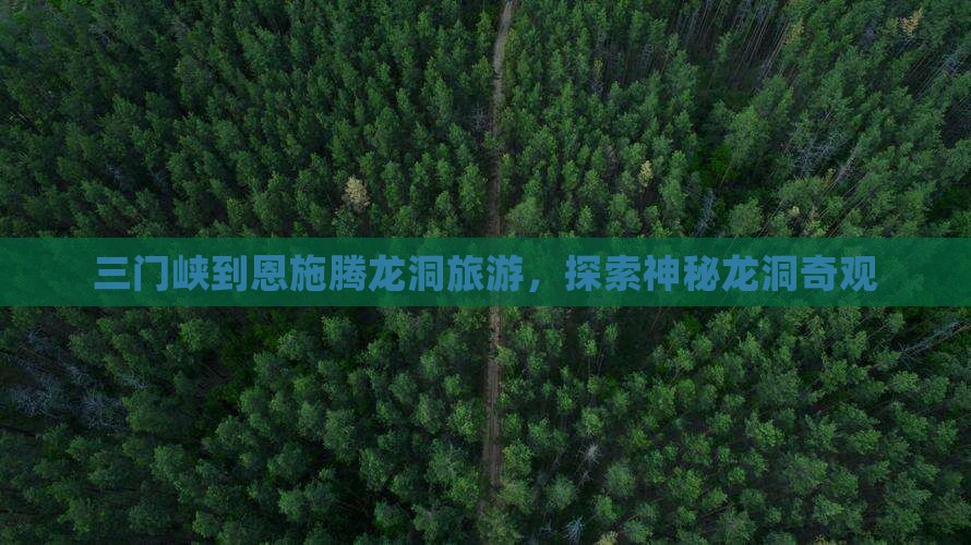三门峡去恩施腾龙洞旅行社
