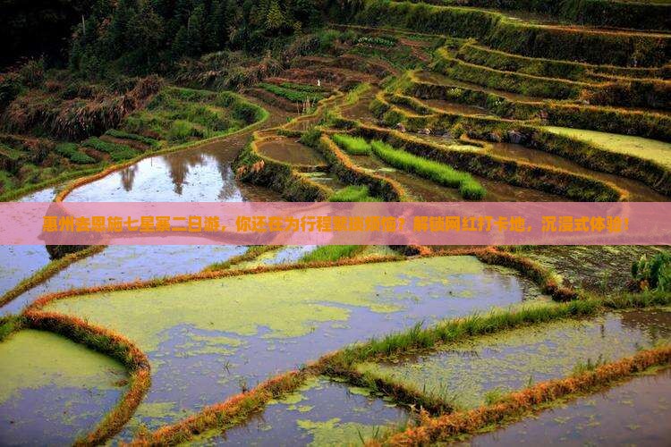 惠州去恩施七星寨二日游