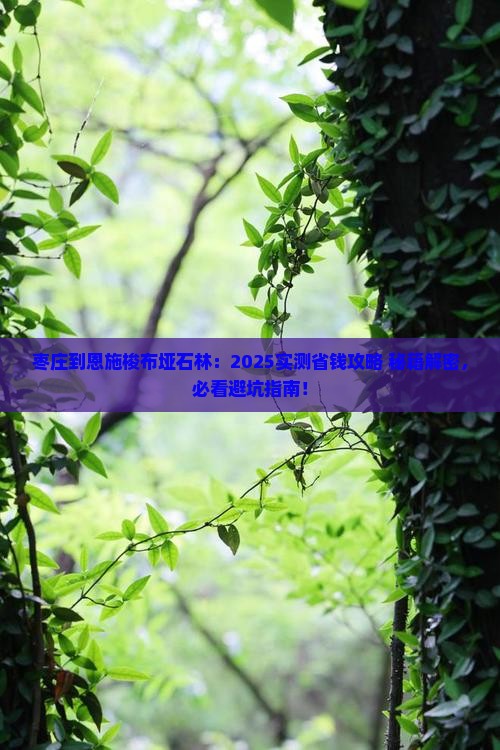 枣庄到恩施梭布垭石林景点
