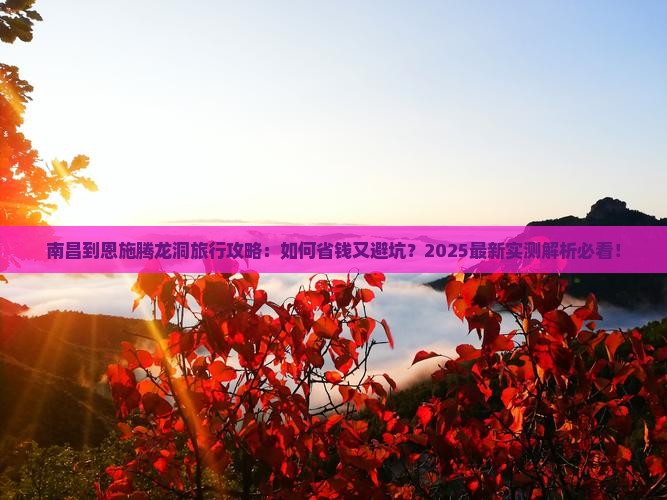 南昌到恩施腾龙洞旅行社