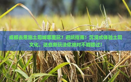 成都去恩施土司城哪里玩