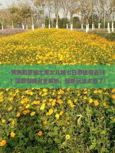 黄南到恩施土家女儿城七日游