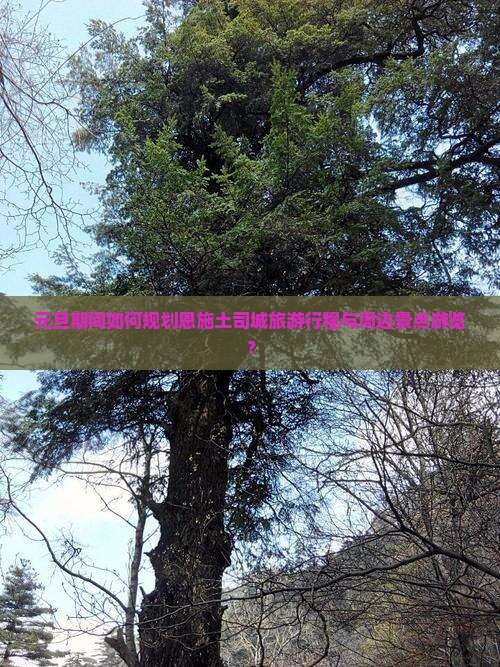 元旦期间如何规划恩施土司城旅游行程与周边景点游览？