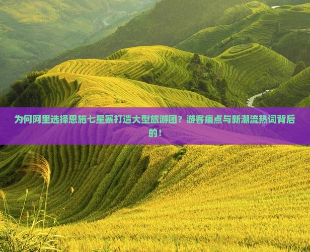 为何阿里选择恩施七星寨打造大型旅游团？游客痛点与新潮流热词背后的！